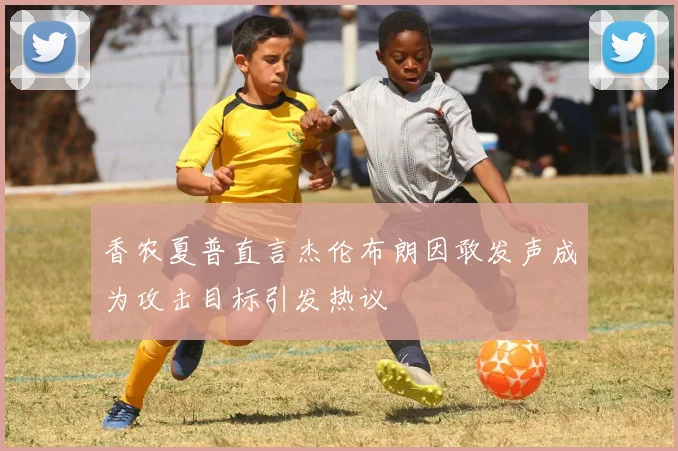 香农夏普直言杰伦布朗因敢发声成为攻击目标引发热议
