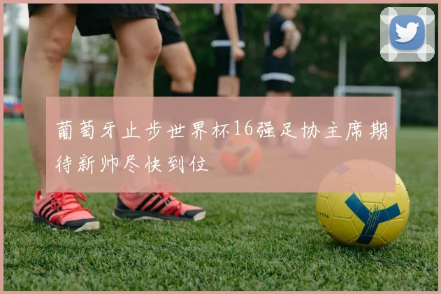 葡萄牙止步世界杯16强足协主席期待新帅尽快到位